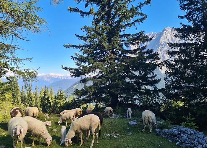 بيت للعطل Marlene's *