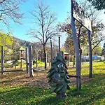 Marlene's