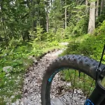 Marlene's * レルモース